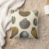 Conchologyコレクション クッション (ブランケット)