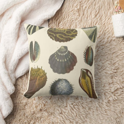 Conchologyコレクション クッション (ブランケット)