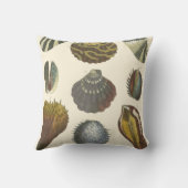 Conchologyコレクション クッション (裏面)