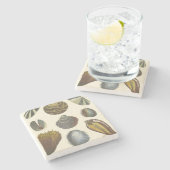 Conchologyコレクション ストーンコースター (横)