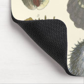 Conchologyコレクション マウスパッド (コーナー)