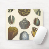 Conchologyコレクション マウスパッド (マウス)