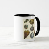 Conchologyコレクション マグカップ (正面右)