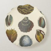 Conchologyコレクション ラウンドクッション (裏面)