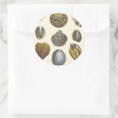 Conchologyコレクション ラウンドシール (バッグ)