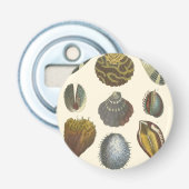 Conchologyコレクション 栓抜き (正面)