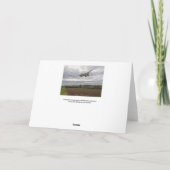 Concorde – 高速あいさつ走きカード カード (裏面)