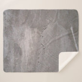 Concrete grey gray wall plaster シェルパブランケット (正面(横))