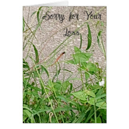 Condolences: Sorry for Your Loss