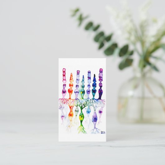 Cone cells rod cells and bipolar neurons of retina 名刺 (スタンド正面)