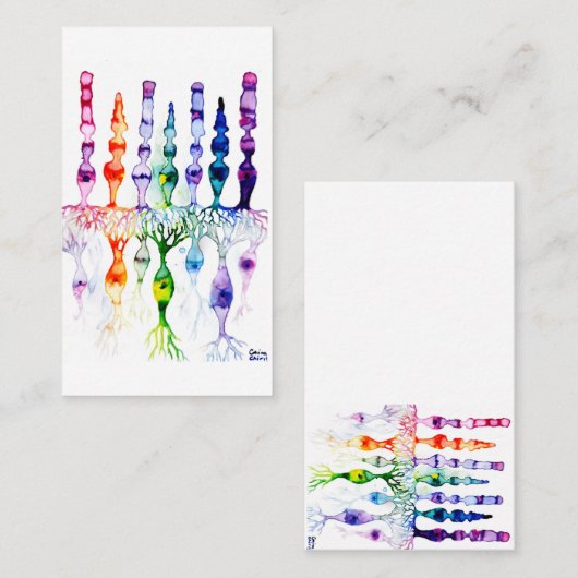 Cone cells rod cells and bipolar neurons of retina 名刺 (正面/裏面)