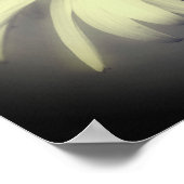 Coneflowerデイジー白黒の部分色 ポスター (角)