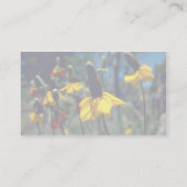 Coneflowers 名刺 (裏面)