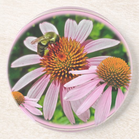 Coneflowers & Bee Coordinating Items コースター (正面)