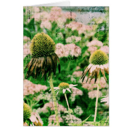 Coneflowers Grunge