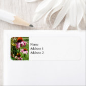 Coneflowers in Garden ラベル (インサイチュ)
