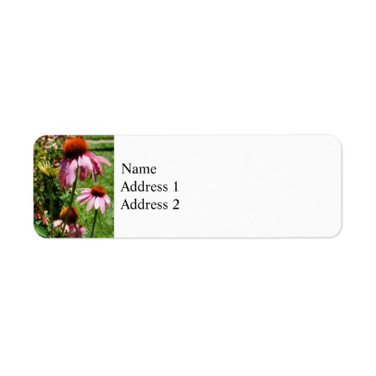 Coneflowers in Garden ラベル (正面)