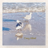Coney Island Seagulls  ガラスコースター (正面)