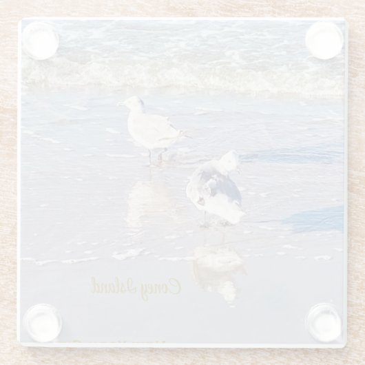 Coney Island Seagulls  ガラスコースター (裏面)