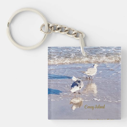 Coney Island Seagulls  キーホルダー (正面)