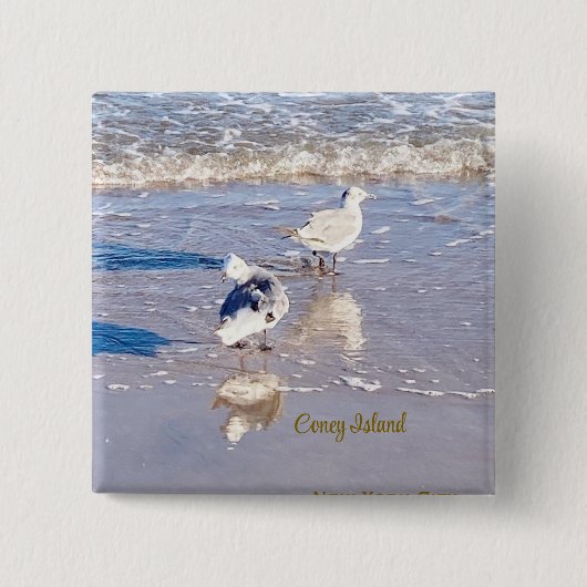 Coney Island Seagulls  缶バッジ (正面)