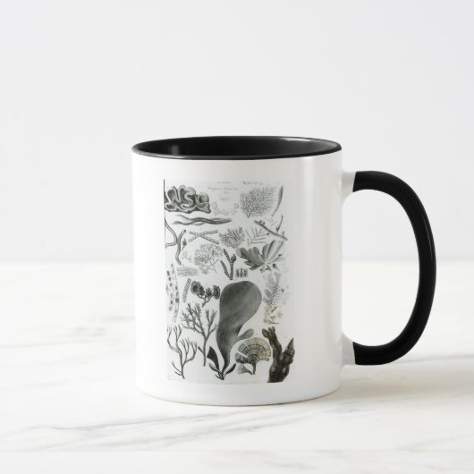 ConferraのFucus マグカップ (右)