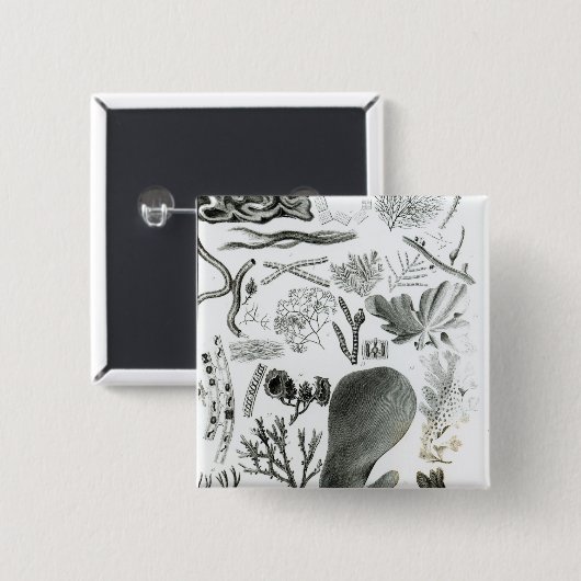 ConferraのFucus 缶バッジ (正面&裏面)