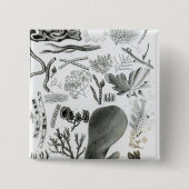 ConferraのFucus 缶バッジ (正面)