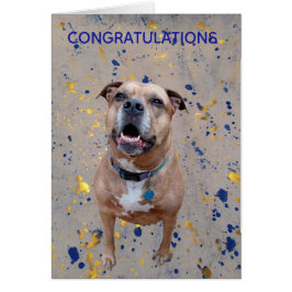 Confetti Congratulations Card
