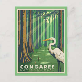 Congaree National Park SC Postcard ポストカード