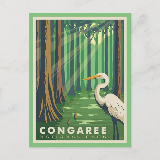 Congaree National Park SC Postcard ポストカード (正面)