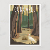 Congaree National Park South Carolina Illustration ポストカード (正面)