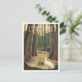 Congaree National Park South Carolina Illustration ポストカード (スタンド正面)