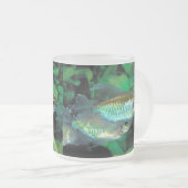Congo tetra , Phenacogrammus interruptus フロストグラスマグカップ (正面右)