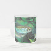 Congo tetra , Phenacogrammus interruptus フロストグラスマグカップ (正面左)