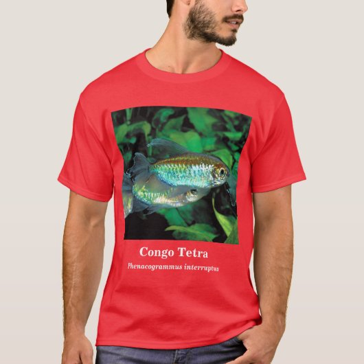 Congo tetra , Phenacogrammus interruptus Tシャツ (正面)