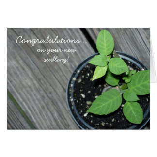 Congradulations!