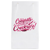 Congrats on passing your checkride! スモールペーパーバッグ (正面)