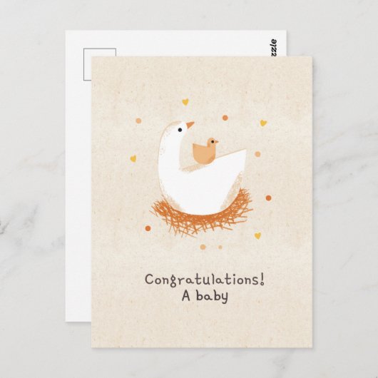 Congratulations a baby chick ポストカード (正面/裏面)