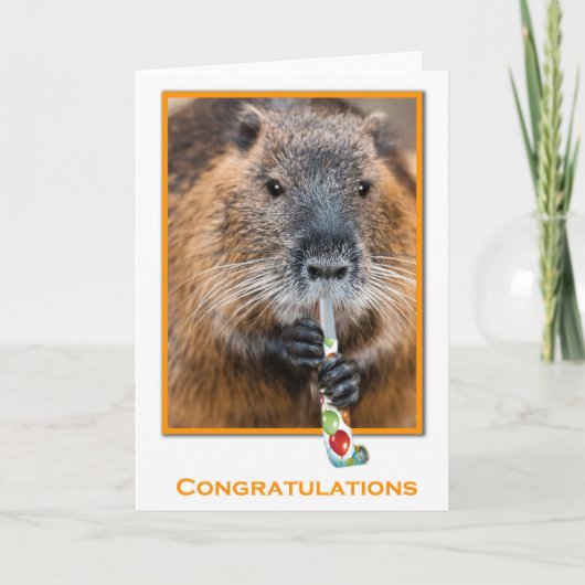 Congratulations card of beaver with flute カード (正面)