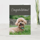 Congratulations Couldn't Be Happier for You! カード (正面)