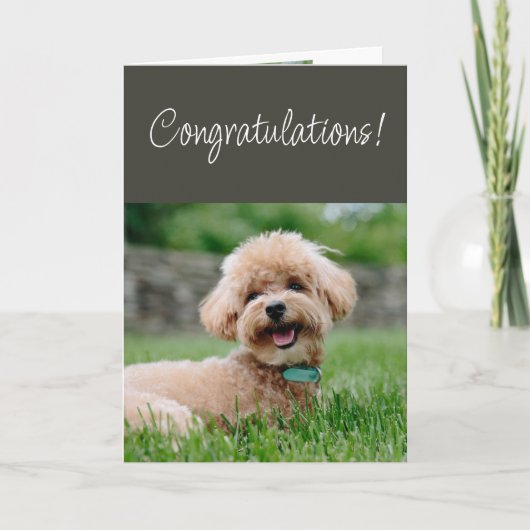 Congratulations Couldn't Be Happier for You! カード (正面)