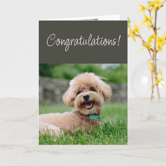 Congratulations Couldn't Be Happier for You! カード (黄色い花)