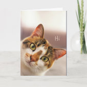 Congratulations! Cute Cat Kitten Animal Funny Card カード (正面)