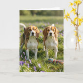 Congratulations on Two New Dogs! Welcome Beagles カード (黄色い花)
