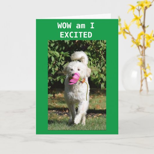 CONGRATULATIONS ON YOUR **NEW HOME** CARD カード (黄色い花)