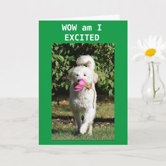 CONGRATULATIONS ON YOUR **PROMOTION** カード (小さな植物)