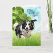 Congratulations reBARKable Border Collie Dog カード (正面)