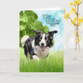 Congratulations reBARKable Border Collie Dog カード (黄色い花)