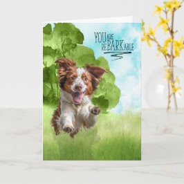 Congratulations reBARKable Brittany Spaniel Dog カード